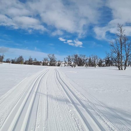 Harekroken Tynset Bagian luar foto