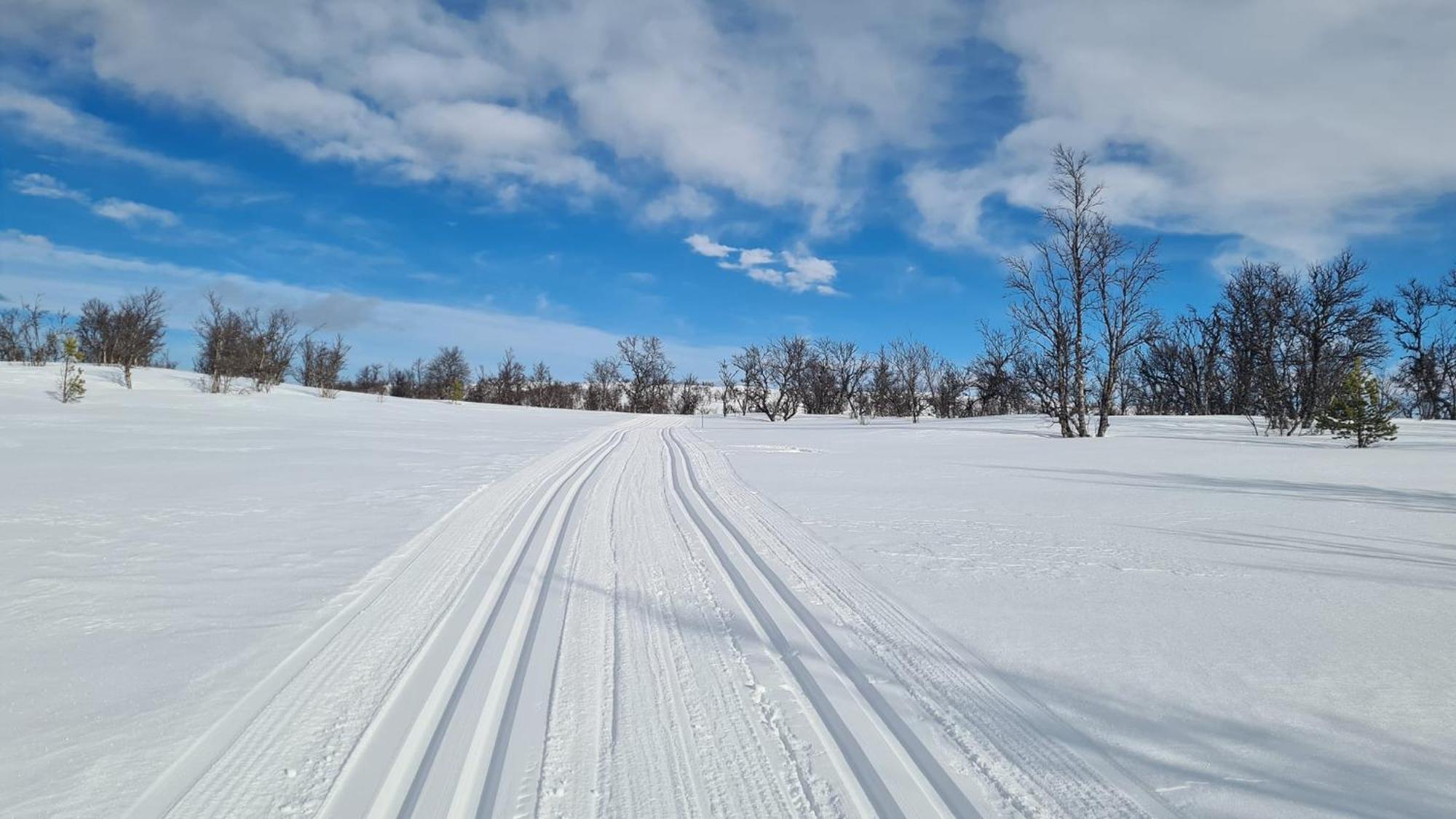 Harekroken Tynset Bagian luar foto